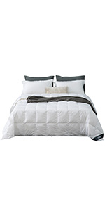 Amazon Com Globon White Goose Down Comforter Queen Full Size 50