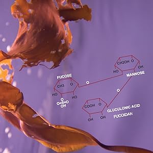 fucoidan