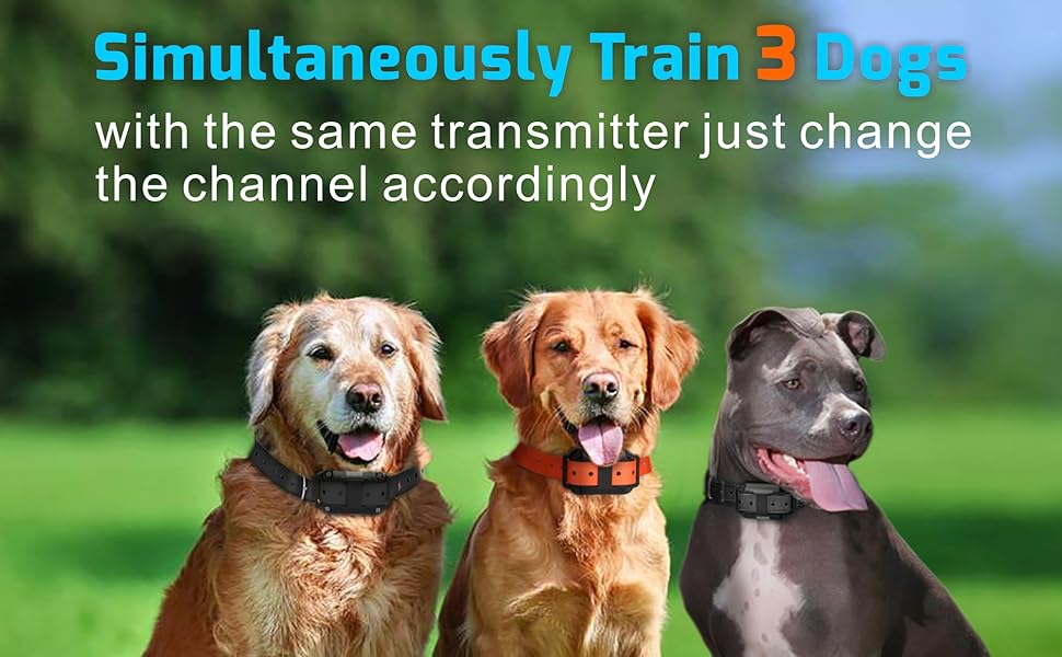 Veckle Dog Training Collar, 2600ft Rechargeable Shock