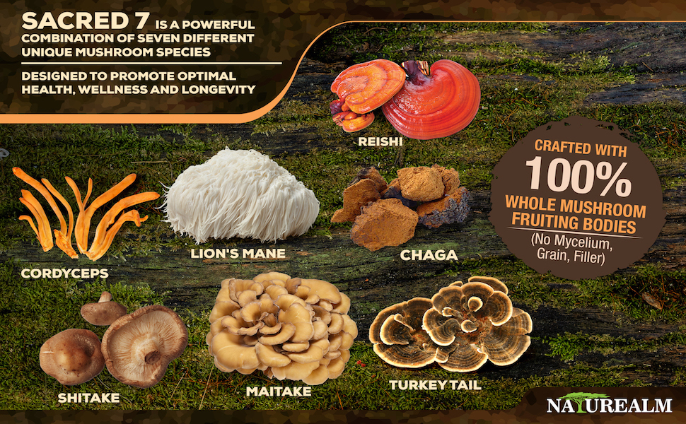 Sacred 7 Mushroom Extract Powder USDA Organic Lion's