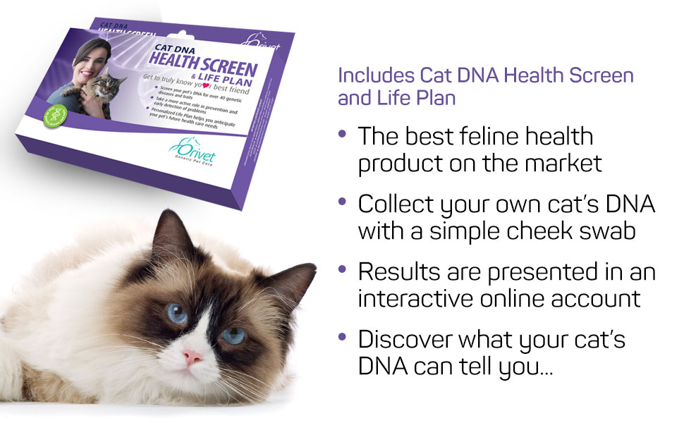 Emmy's Best Orivet Cat DNA Test Health Screen Plus Life