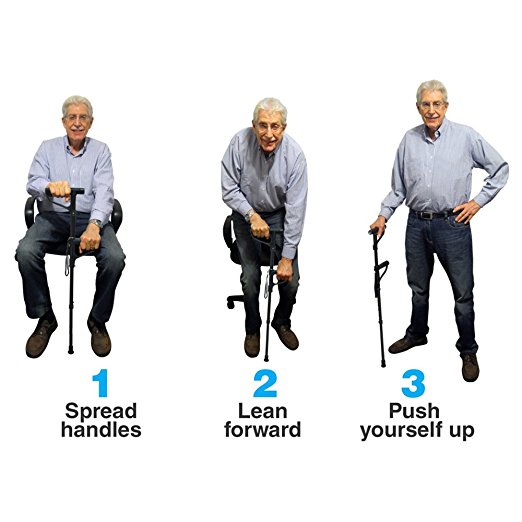 Self Standing Dual Handle Canes and Walking Sticks for Men