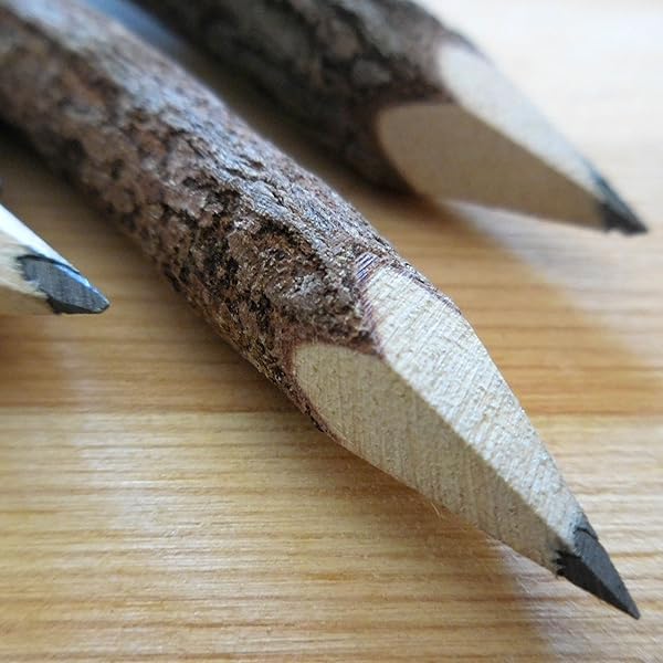 TropicaZona Branch & Twig Graphite Pencils, Approx. 5 Inches Long, 12Pack