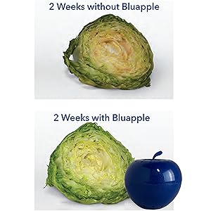 powder freezer containers deodorizers absorber refresher dehydrator keeper filter refrigerador