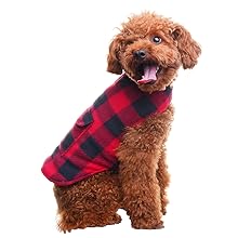 dog winter jackets