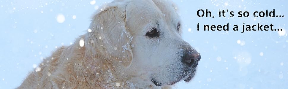 dog winter jacket