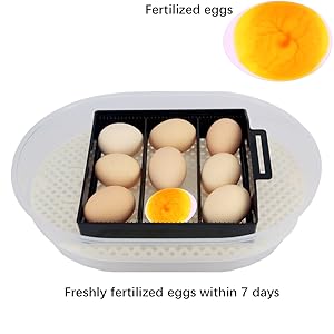 Small manufacture image 3