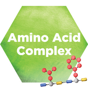 Amino Acid Complex