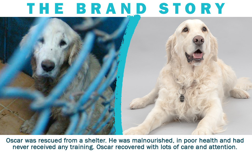 Brand story