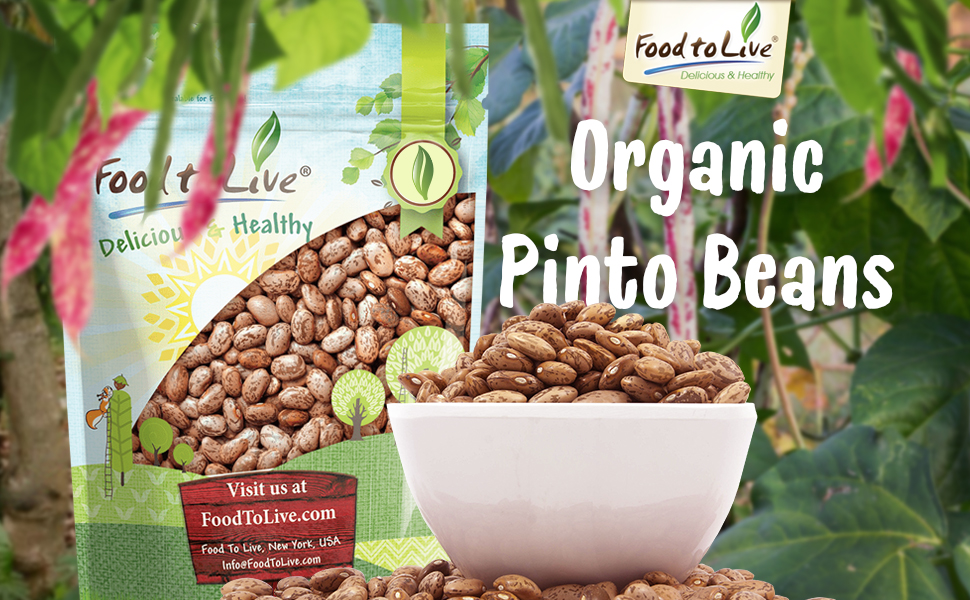 Organic Pinto Beans, 20 Pounds NonGMO, Frijioles Pintos, Whole Dried
