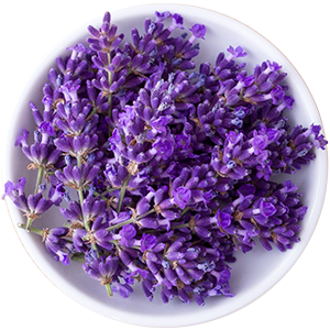 tea tree conditioner