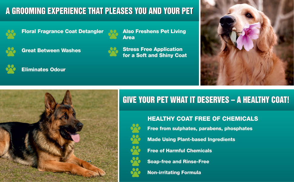 Petway Petcare Floral Detangler Cologne For Dogs