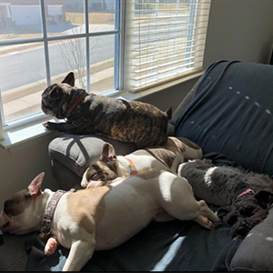 Small manufacture image 4