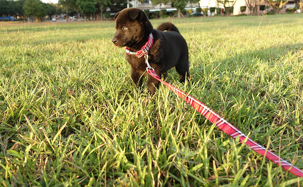 Small manufacture image 16