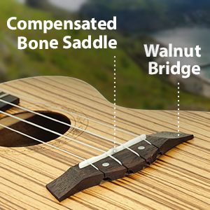 Amazon.com: Concert Ukulele Deluxe Series by Hola! Music