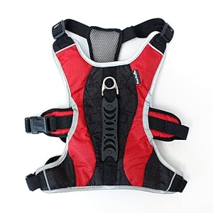 Dog Walking Lifting Carry Harness, Support Mesh Padded Vest, Accessory, Collar, Lightweight