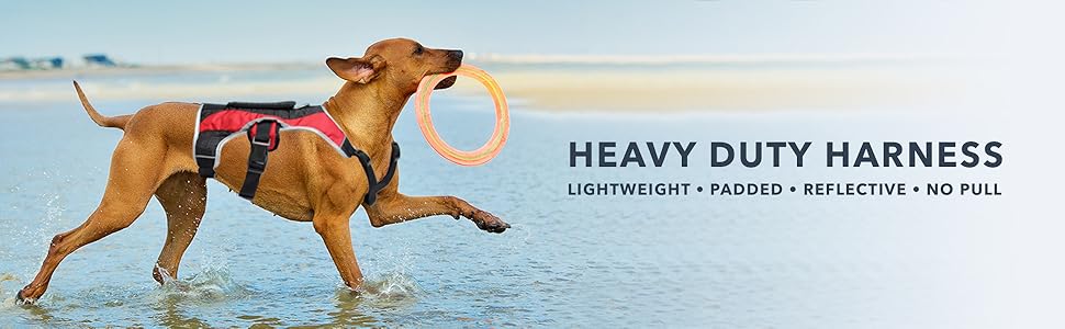 Dog Walking Lifting Carry Harness, Support Mesh Padded Vest, Accessory, Collar, Lightweight