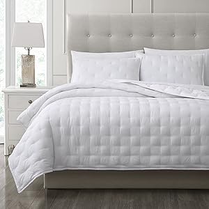 Chezmoi Collection Milo King Size Light Gray Soft Cooling Rayon Bamboo Polyester Quilt Light Gray King SizeSoft Cooling 15efc0fb 01b7 46c6 84b6 Ff80545afa14. CR0,0,2000,2000 PT0 SX300