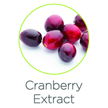 cranberry extract
