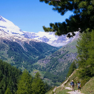 ProHealth's Guaifenesin FA is derived naturally