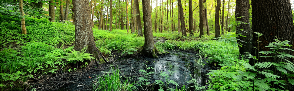 moor spa all natural skin care