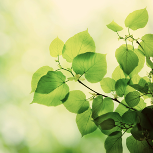 moor spa natural skin care