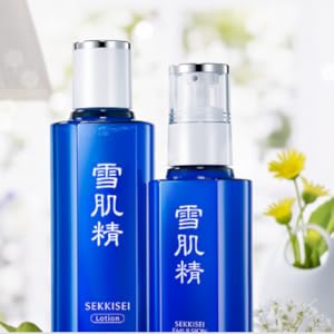 SEKKISEI Story