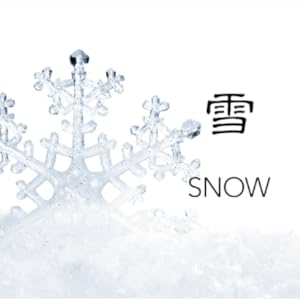 SEKKISEI Story