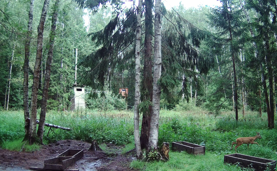 Small manufacture image 6