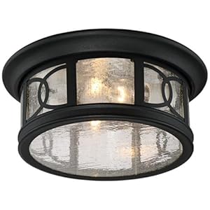Capistrano 12" Wide Black 2-Light Outdoor Ceiling Light
