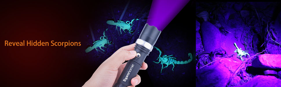 Amazon.com: Toprohomie - Linterna ultravioleta para orina de ...