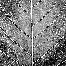 Best Facial Moisturizer for men natural organic aftershave face lotion rugged and dapper mens