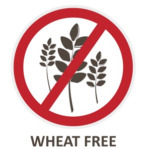 Wheat free probiotics for dog gut health gas 