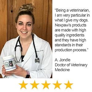 veterinarian recommended best probiotics for dogs digestive help gut enzymes