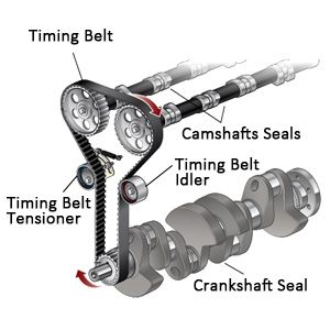 timing belt kit