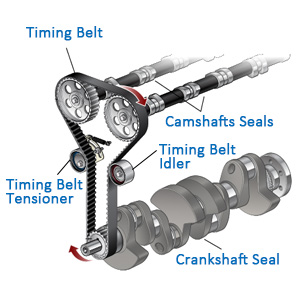 timing belt kit