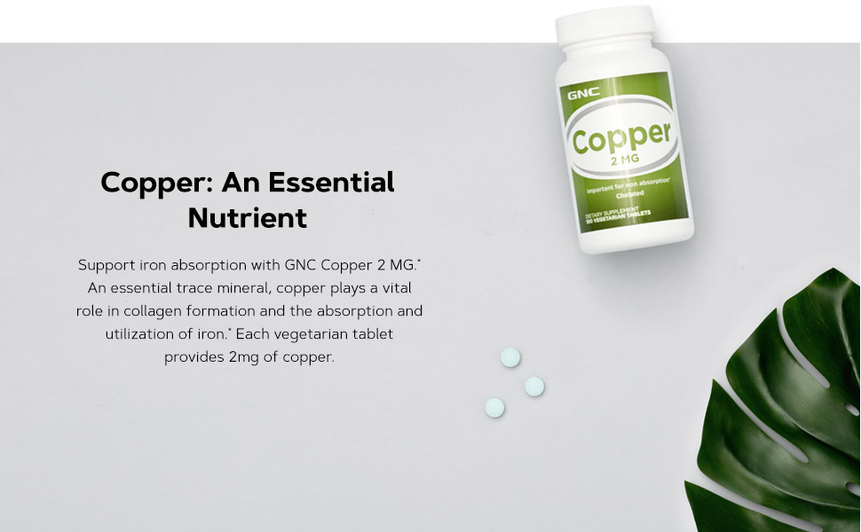 GNC Copper 2 MG 100 Vegetarian Tablets Health & Household