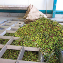 Small manufacture image 4