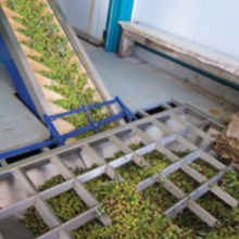 Small manufacture image 5