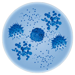 Small manufacture image 8