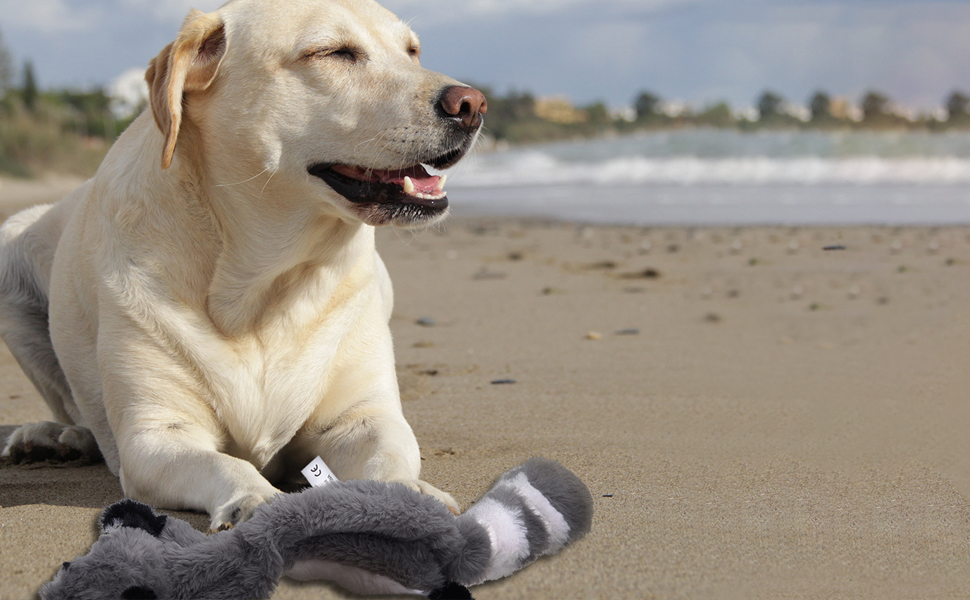 PDTO No Stuffing Dog Toy, Stuffing Free Dog Chew Toys Set