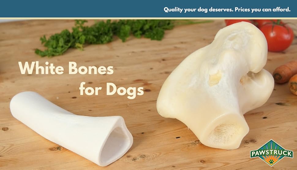 White Knuckle Dog Bones (10 Pack) Bulk Healthy Dog