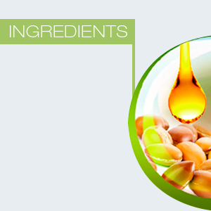 acondicionador salon in crema para cabello seco y maltratado deep shampoo for split ends