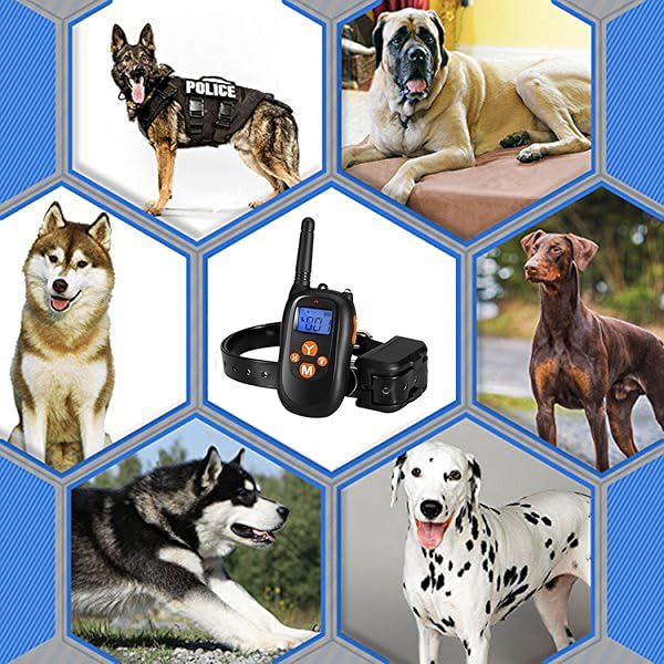 PAWOAH Remote Dog Training Collar Waterproof Receiver Dog