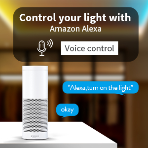 voice control