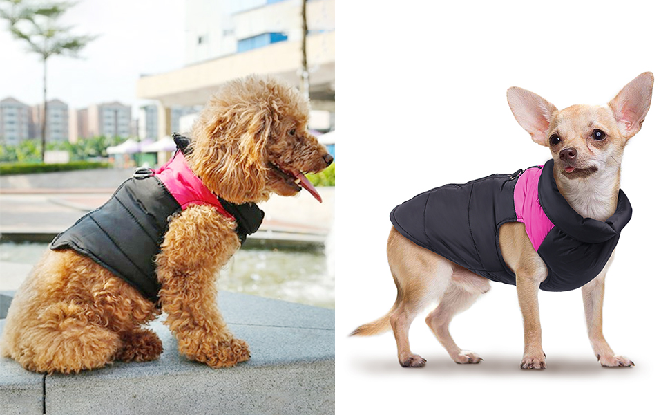 IREENUO Dog Winter Jacket Waterproof Windproof Dog Clothing