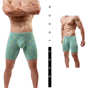 no rise boxer briefs