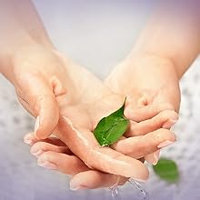 Puracy Natural Liquid Hand Soap, 4-pack