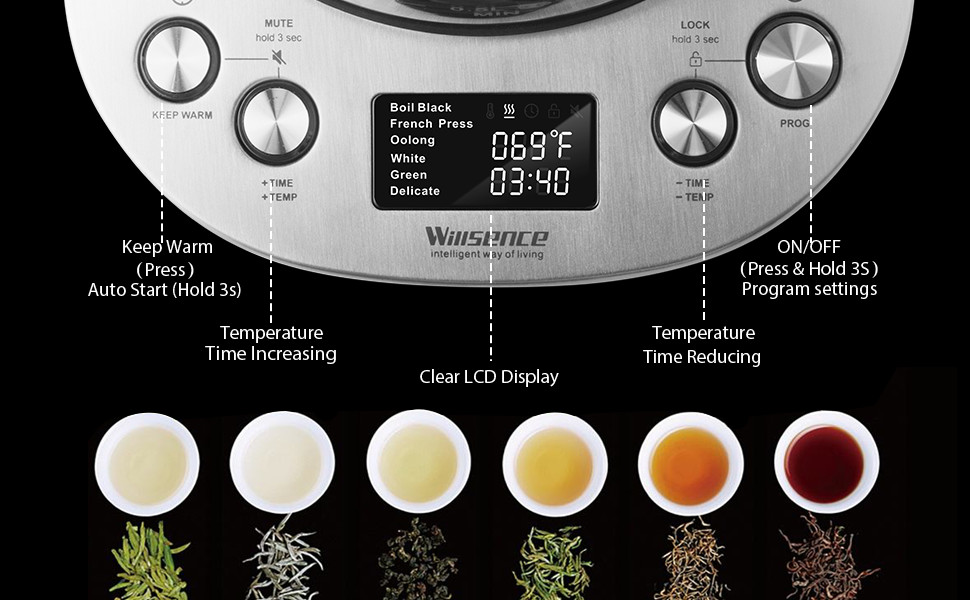 Willsence Eletric Kettle