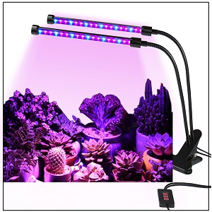 Small manufacture image 7